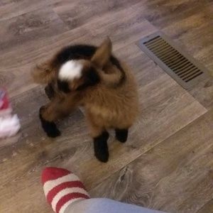 Meet your Posher, Lindsey